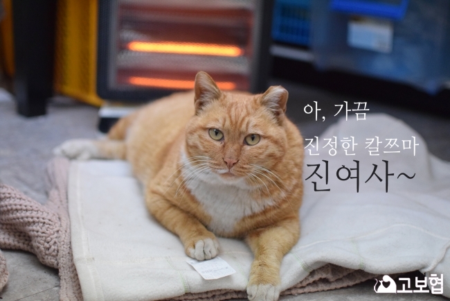 진여사.jpg