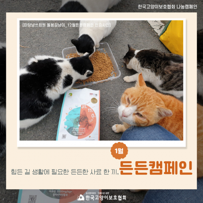 든든 (1).jpg