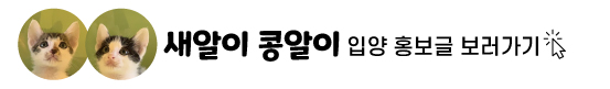 새알이콩알이.jpg