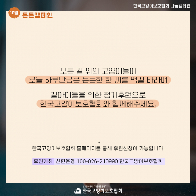 든든캠페인 (5).jpg