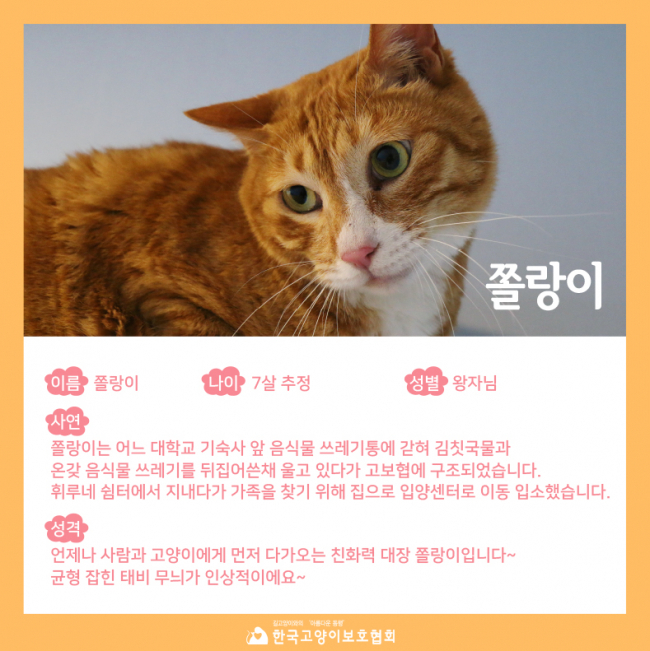 입소카드 (3).jpg