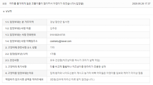 냥냥켓1.png