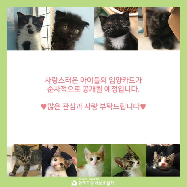 4월 입소 소식 (8).jpg
