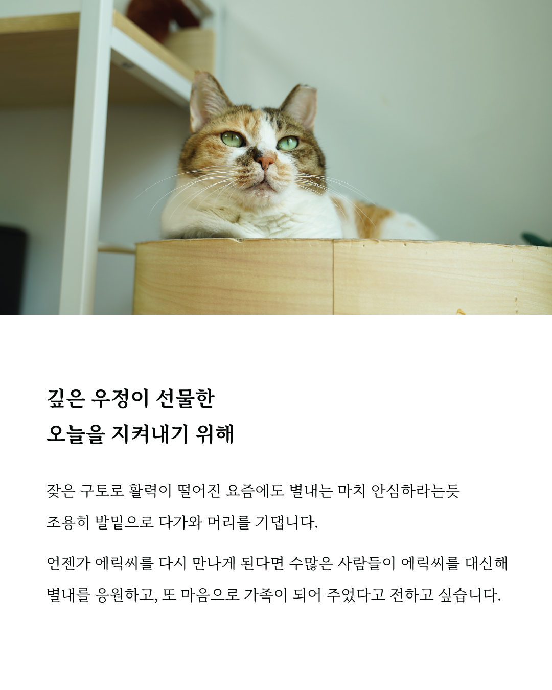 별내7.jpg