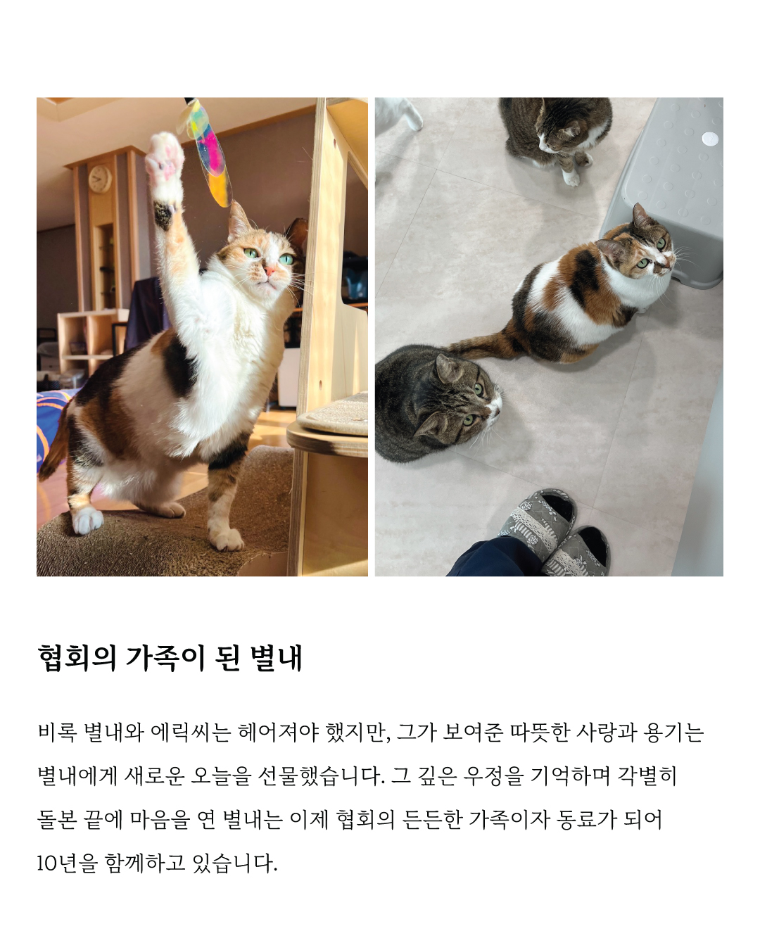 별내5.jpg