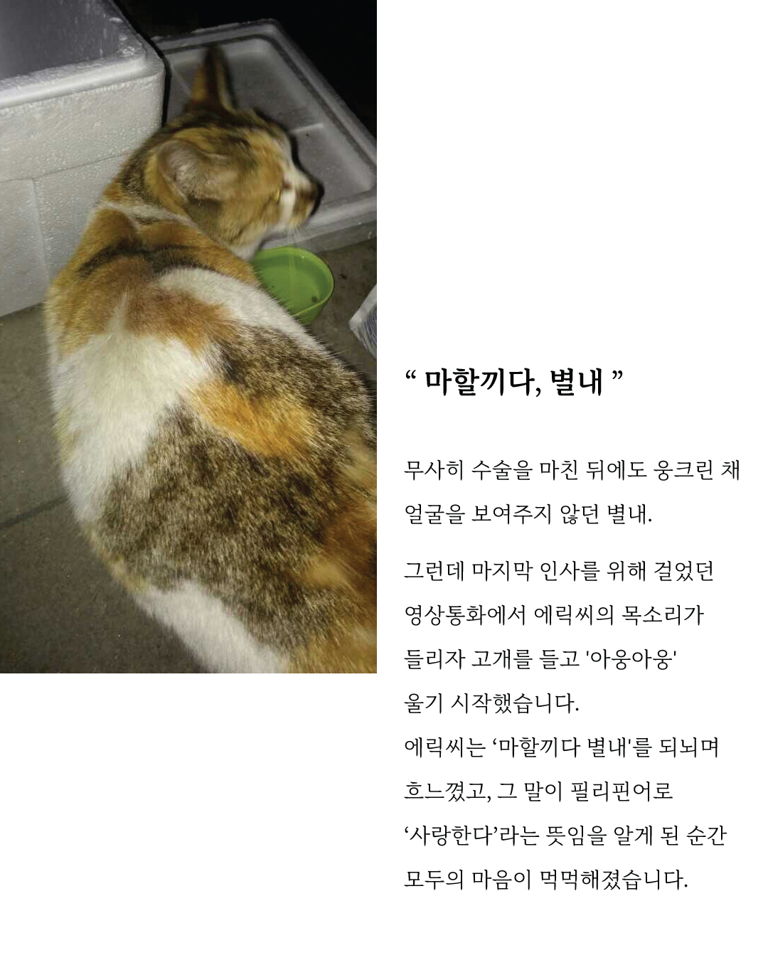 별내4.jpg