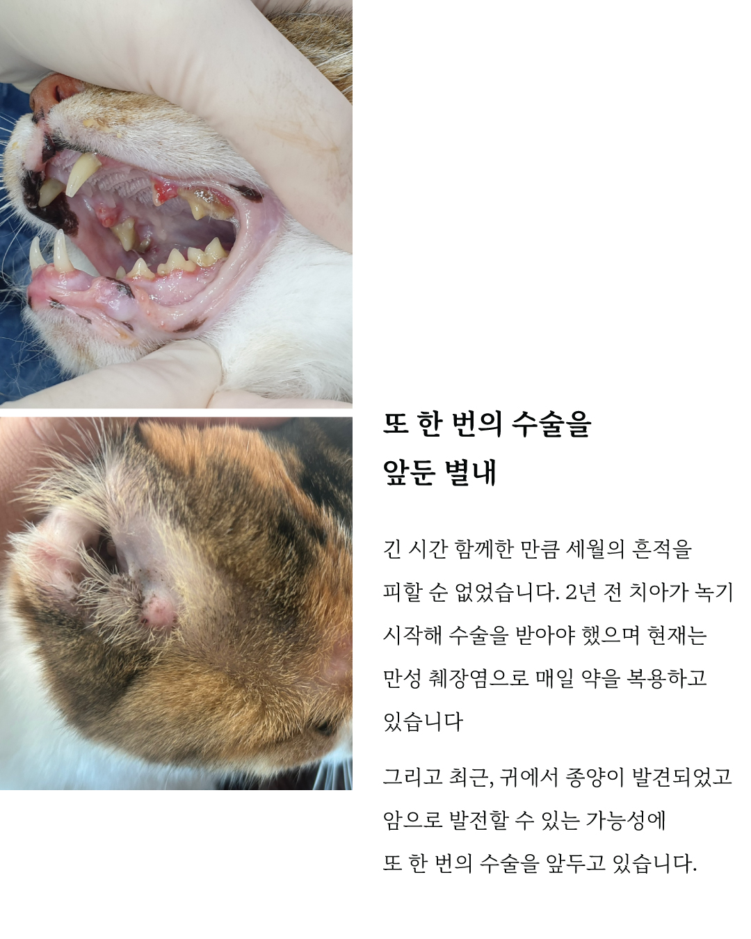 별내6.jpg