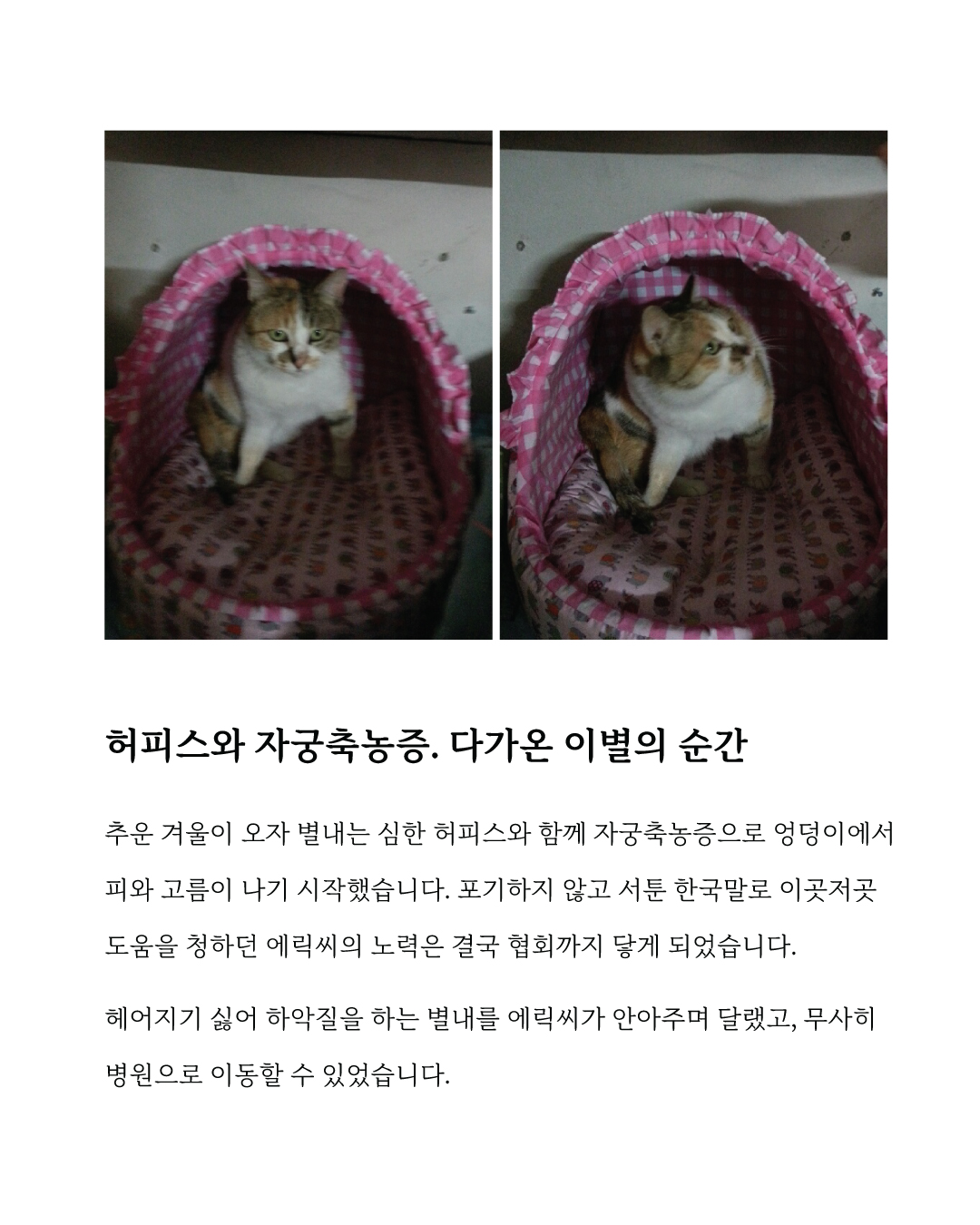별내3.jpg