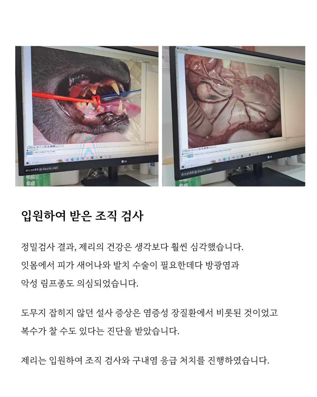 제리5.jpg