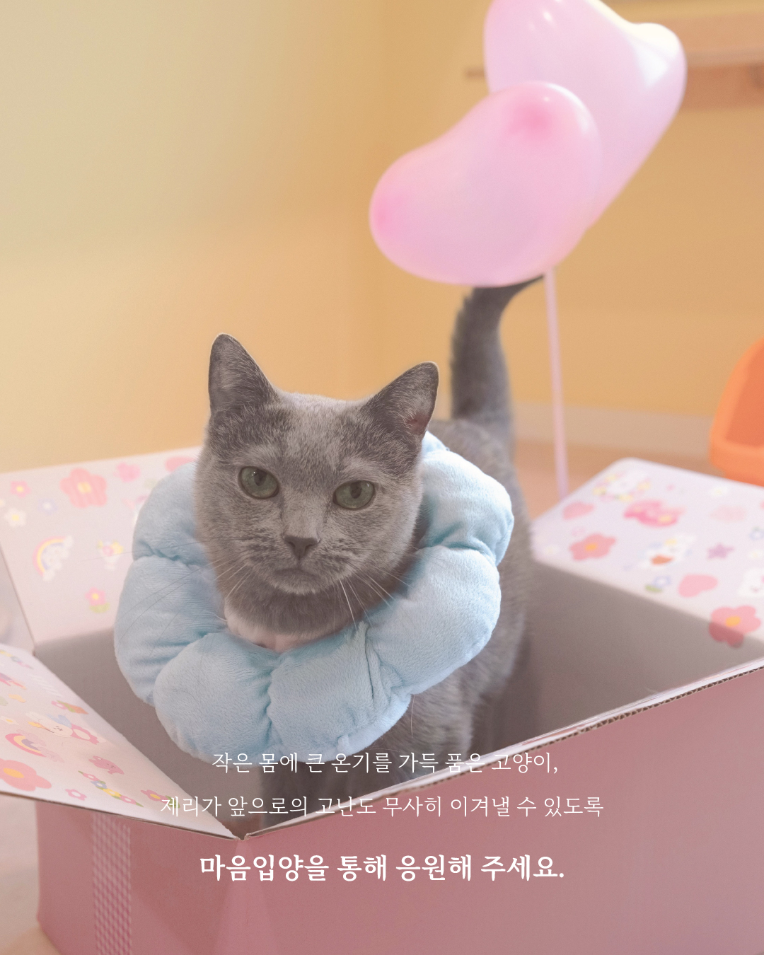 제리9.jpg