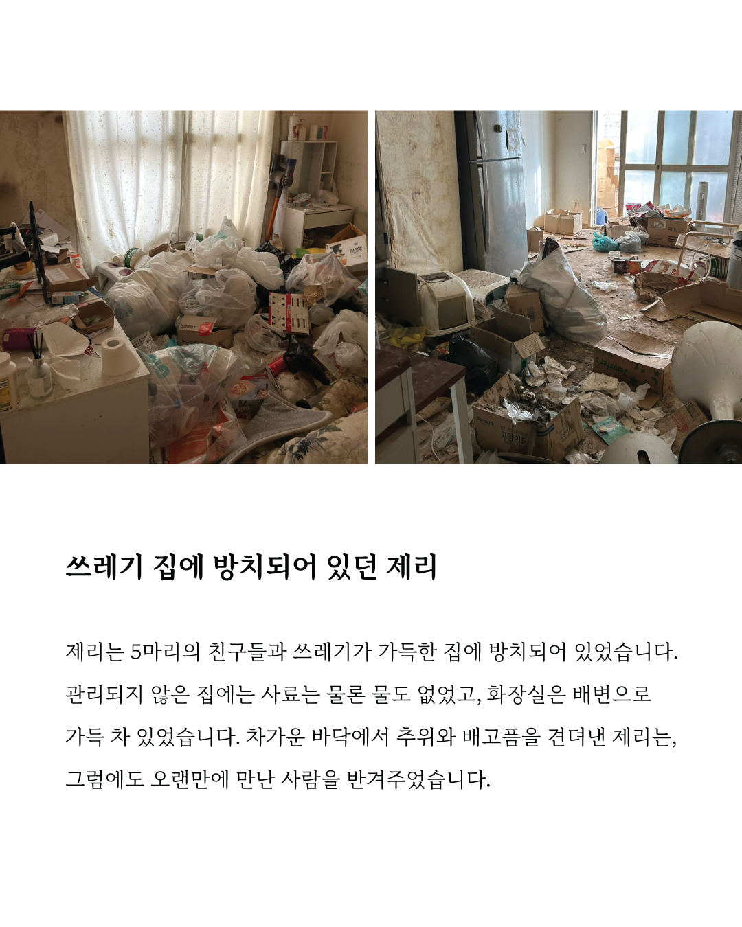 제리2.jpg