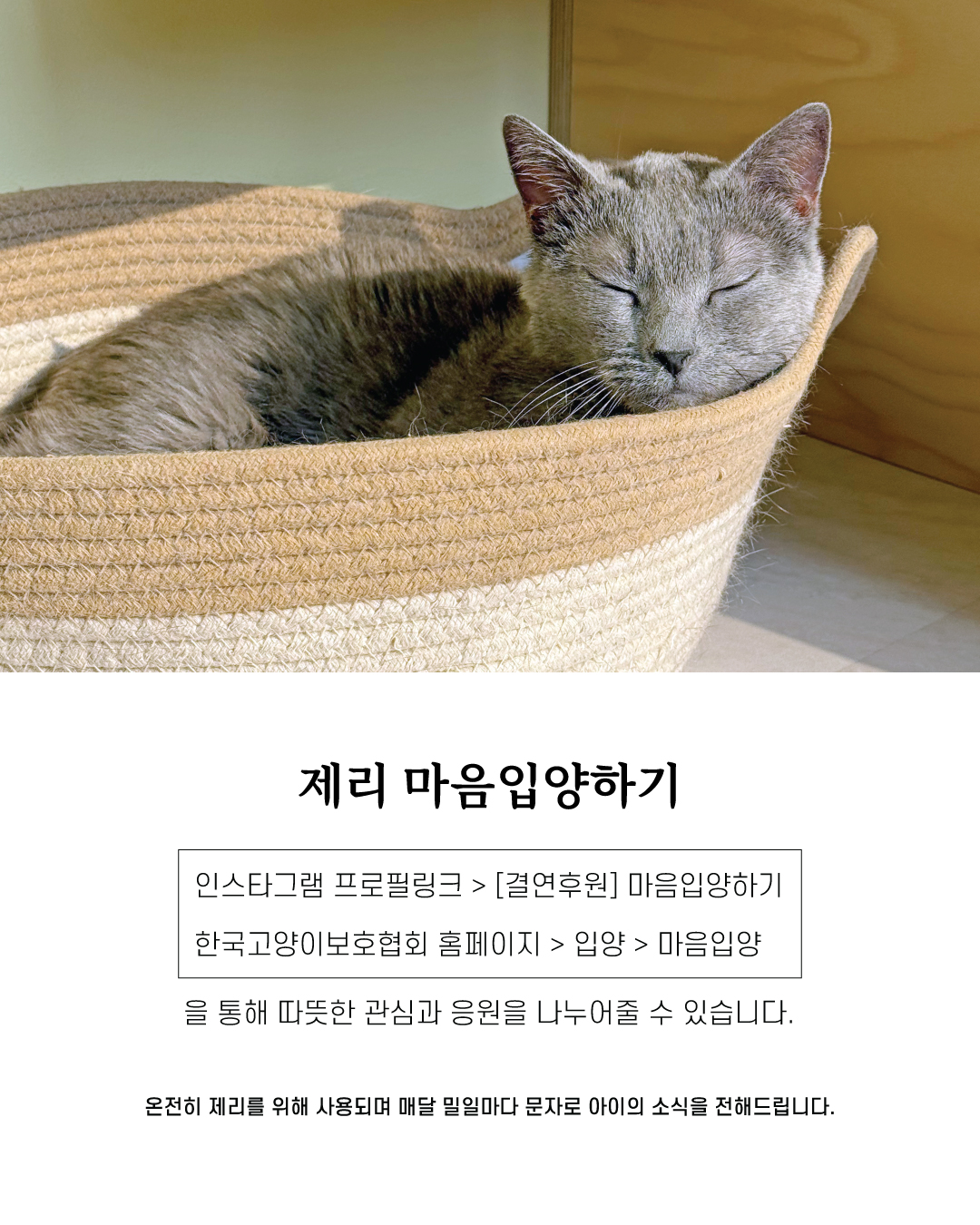 제리10.jpg