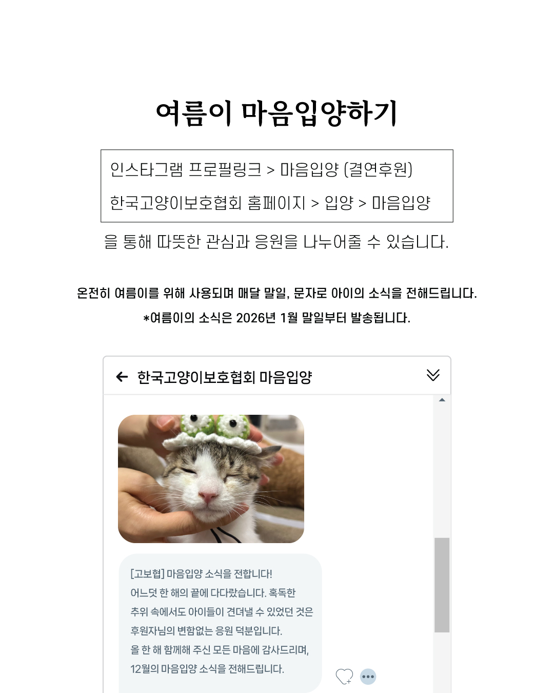 여름마음입양10.jpg