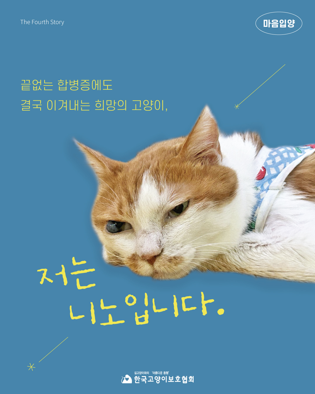 니노1.jpg
