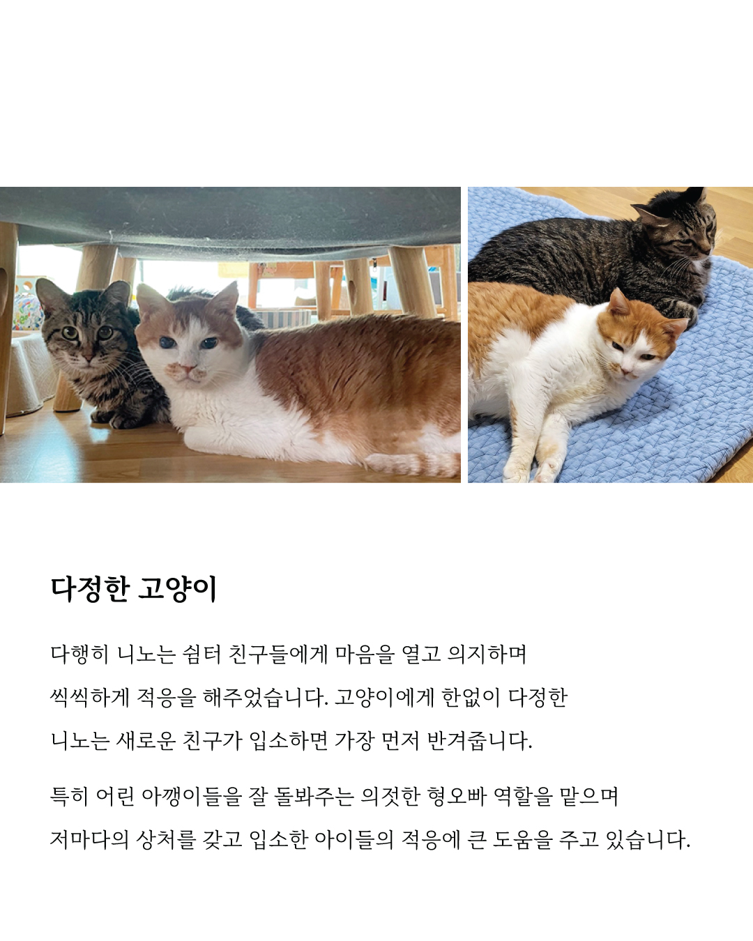 니노6.jpg
