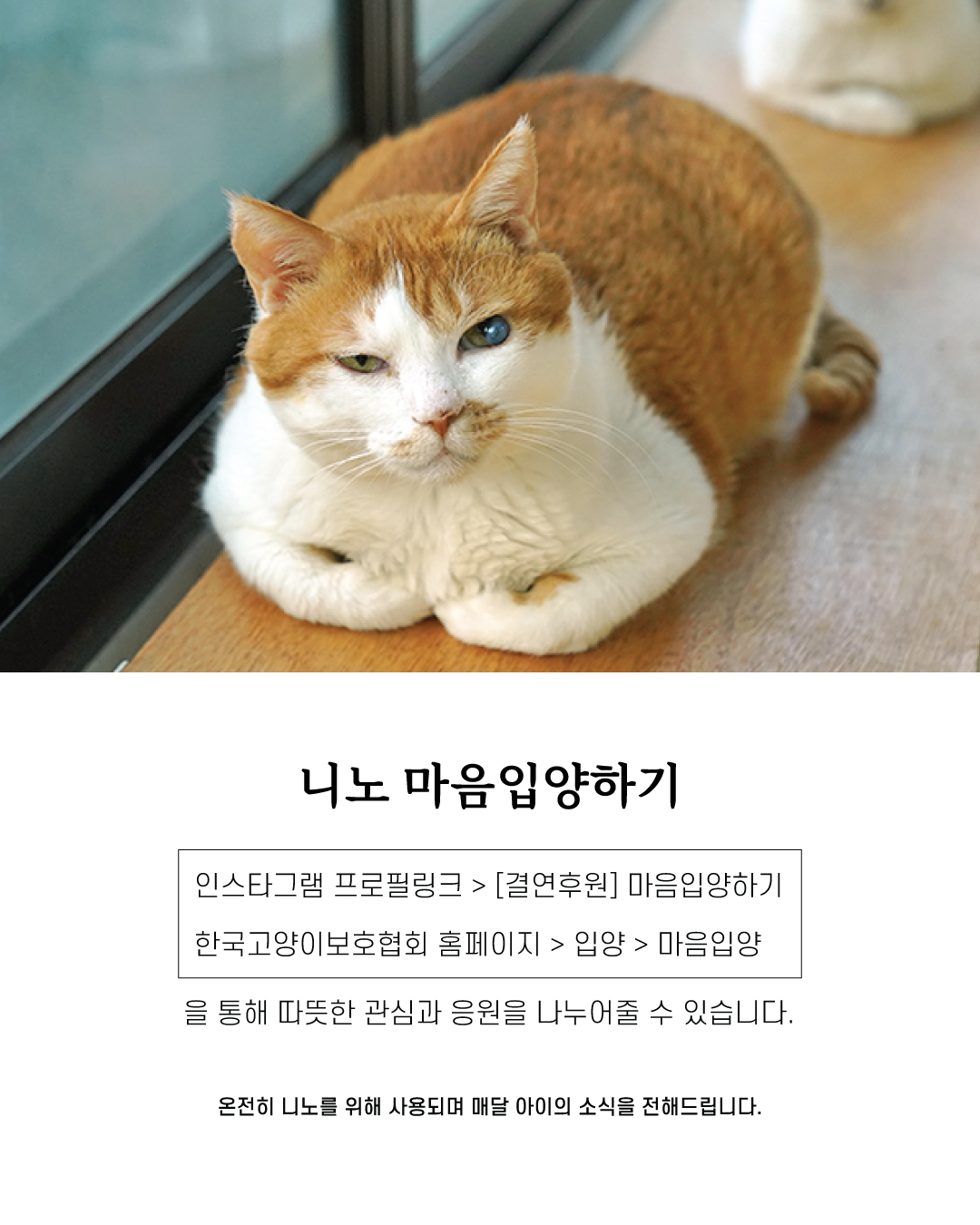 니노10.jpg
