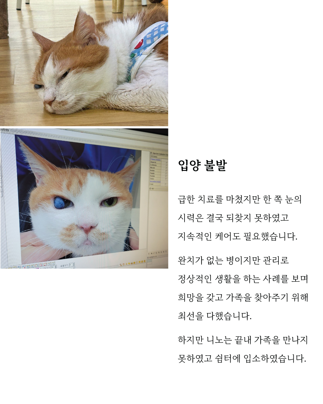 니노5.jpg