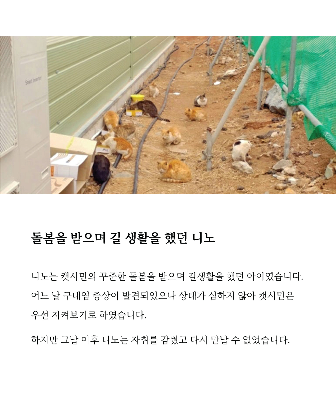 니노2.jpg