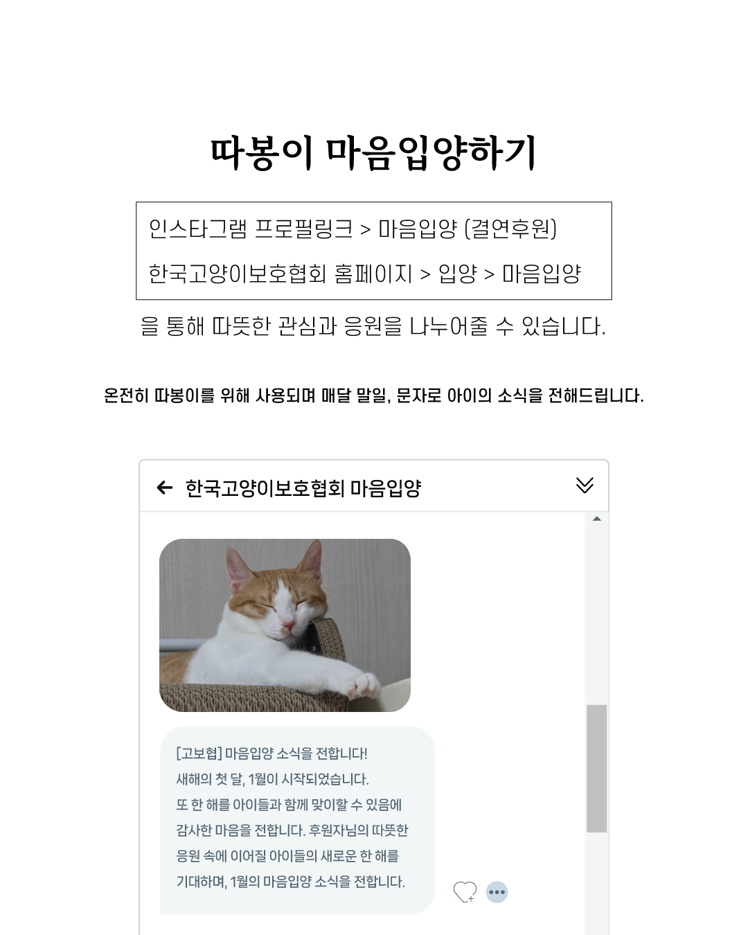 따봉마음입양9.jpg
