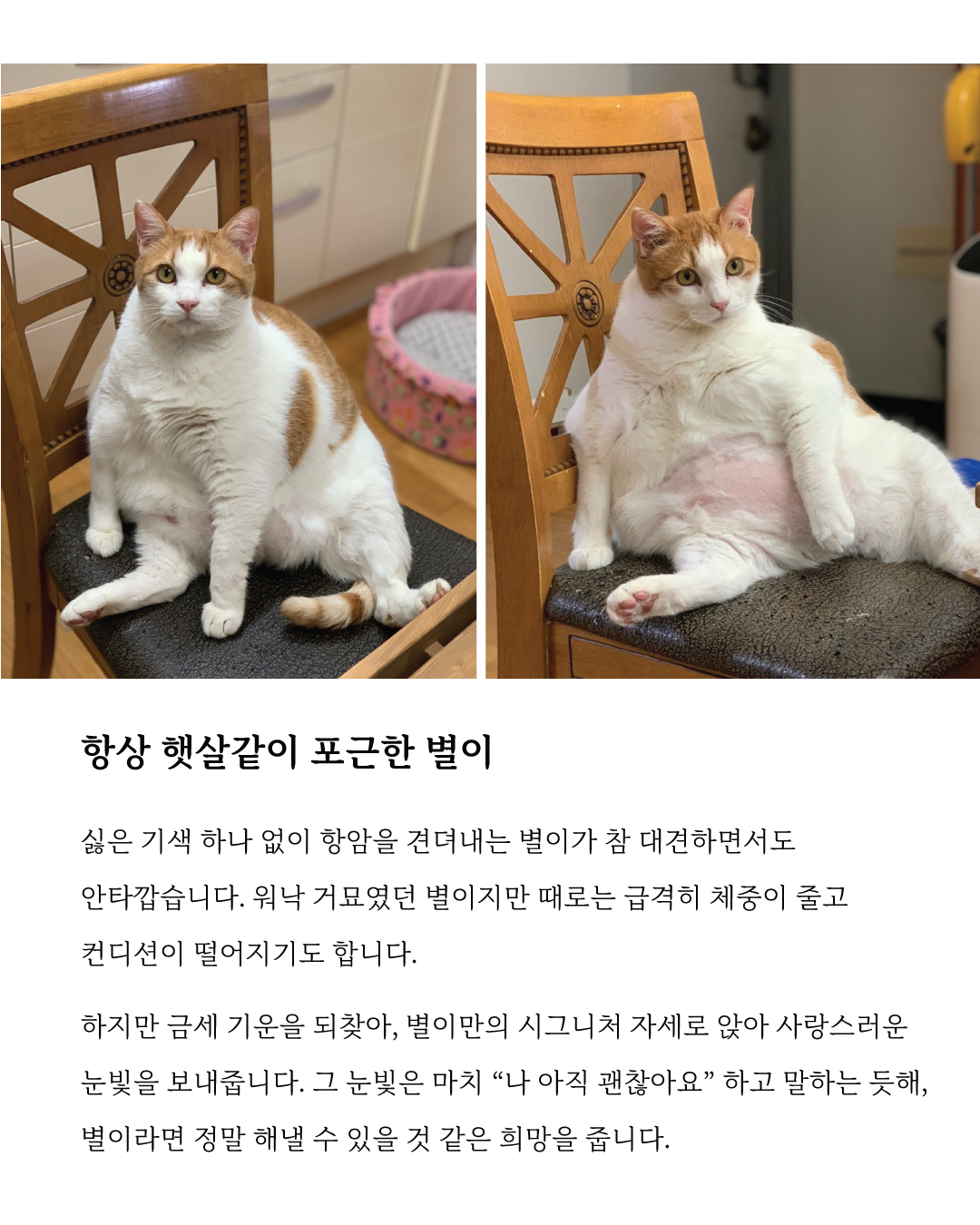 별이6.jpg