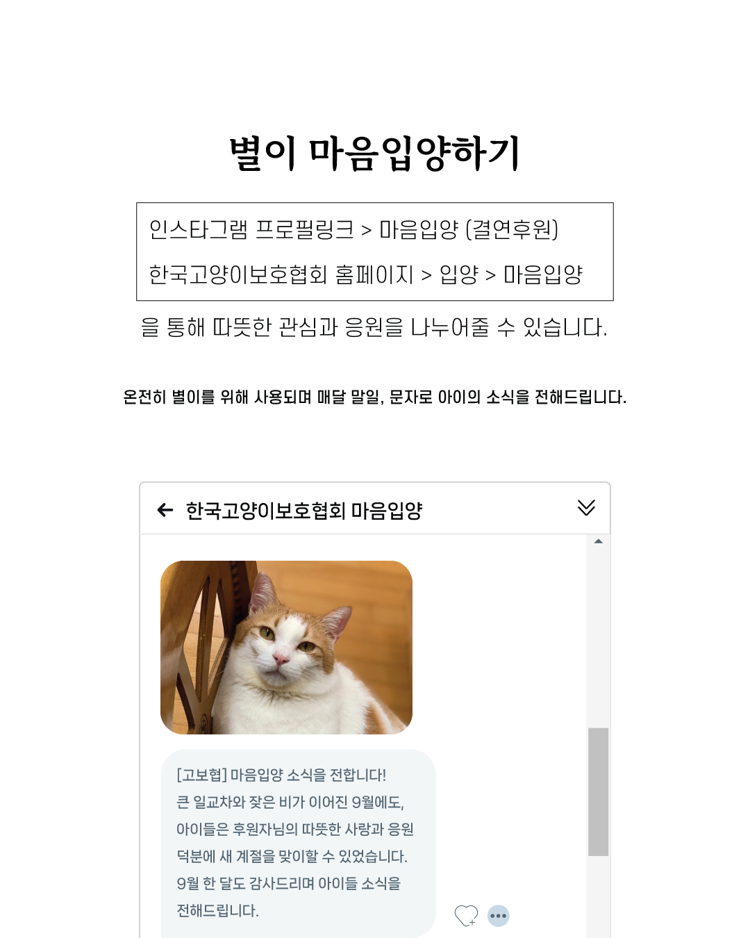별이8.jpg