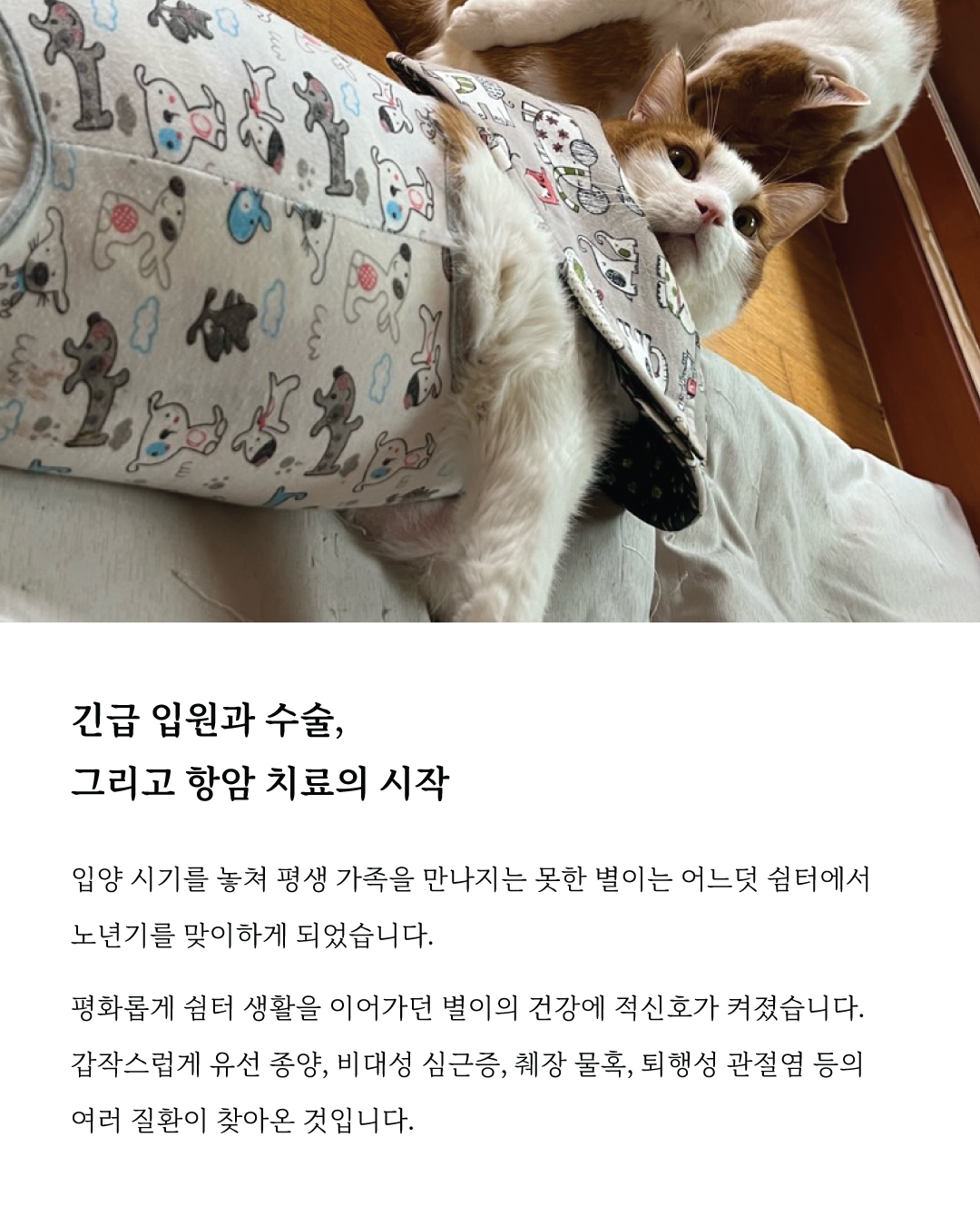 별이4.jpg