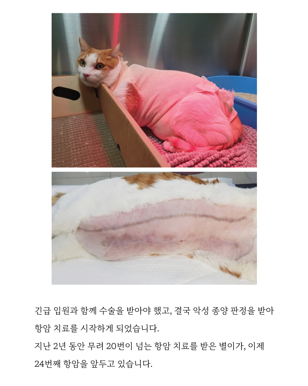별이5.jpg