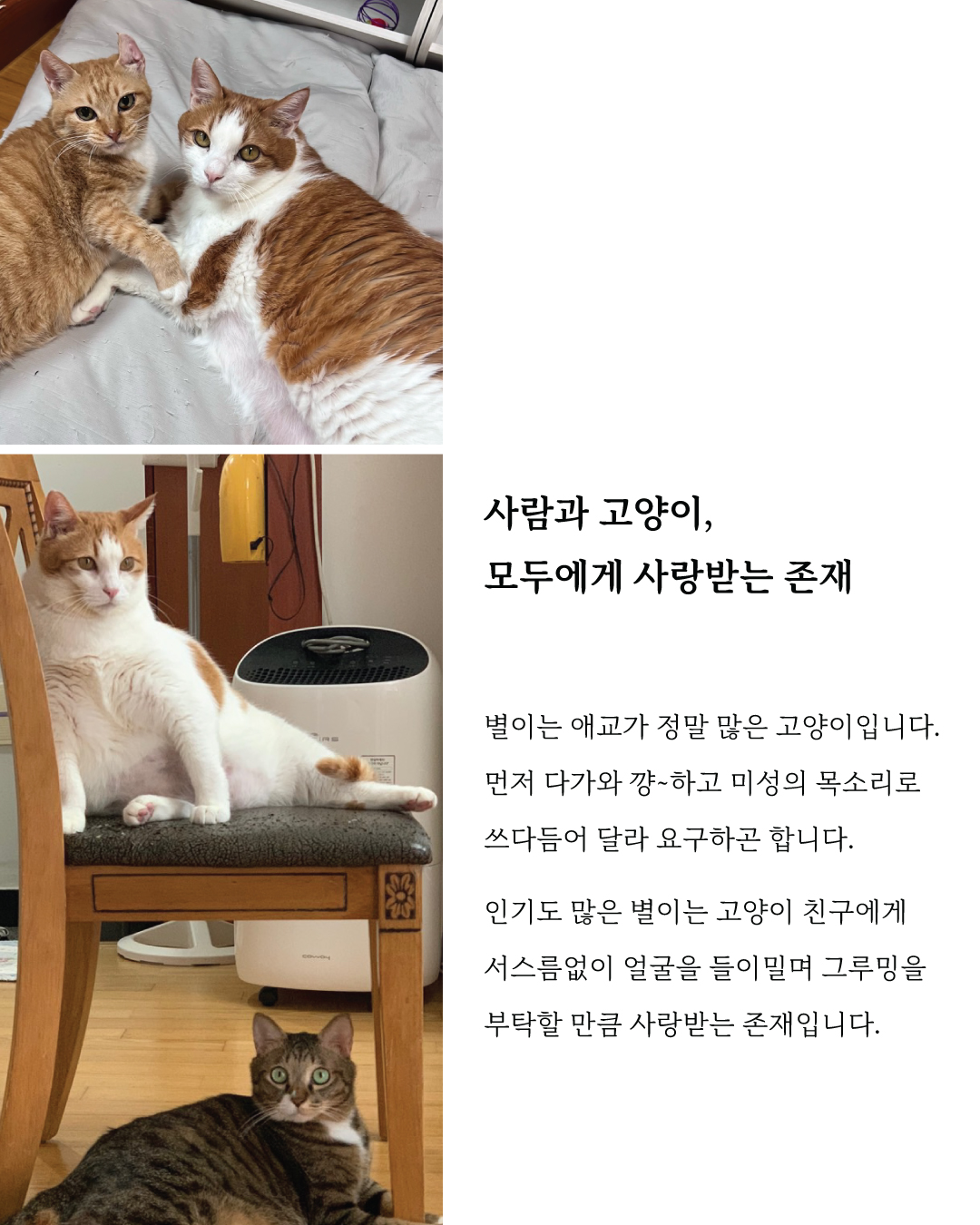별이3.jpg