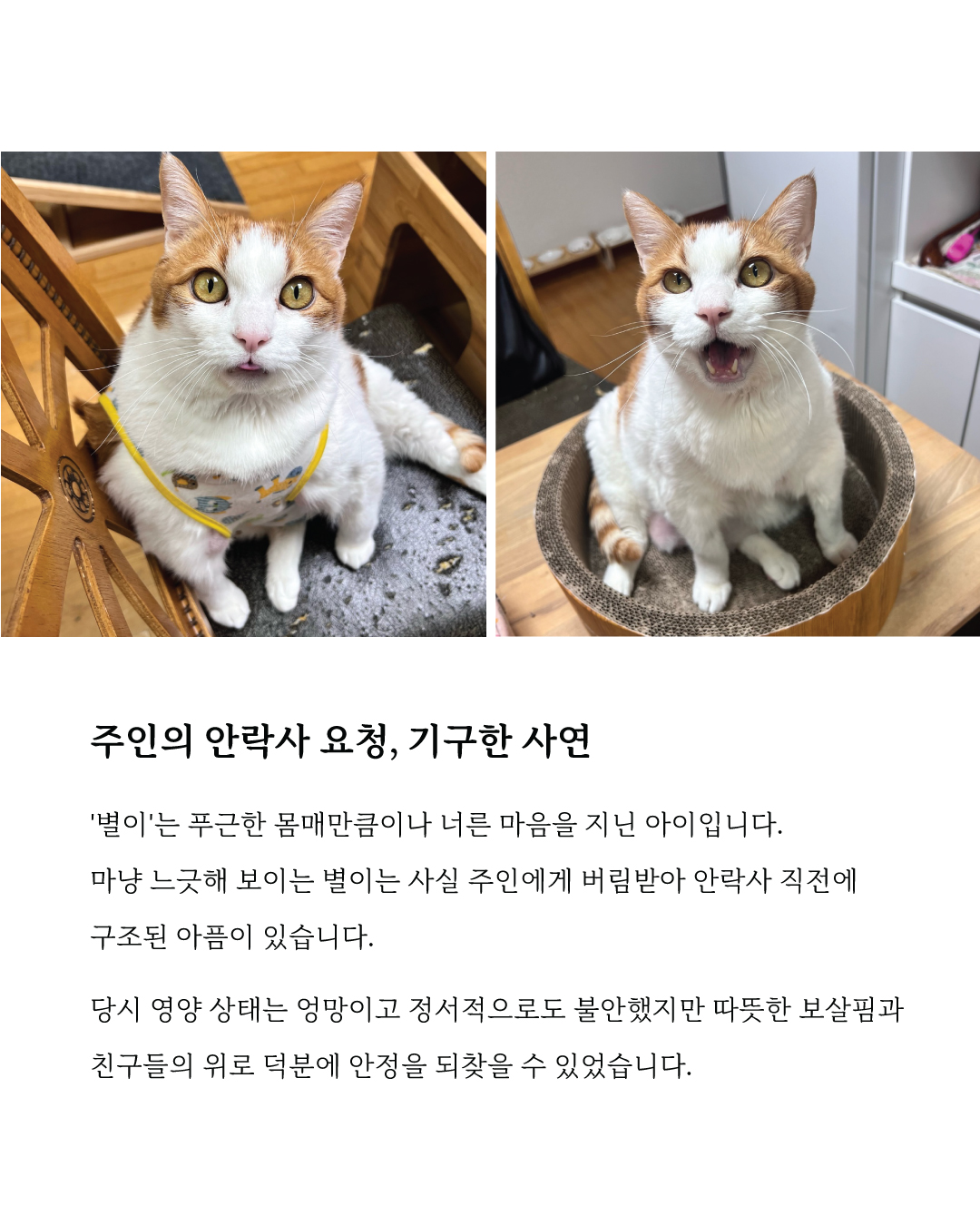 별이2.jpg