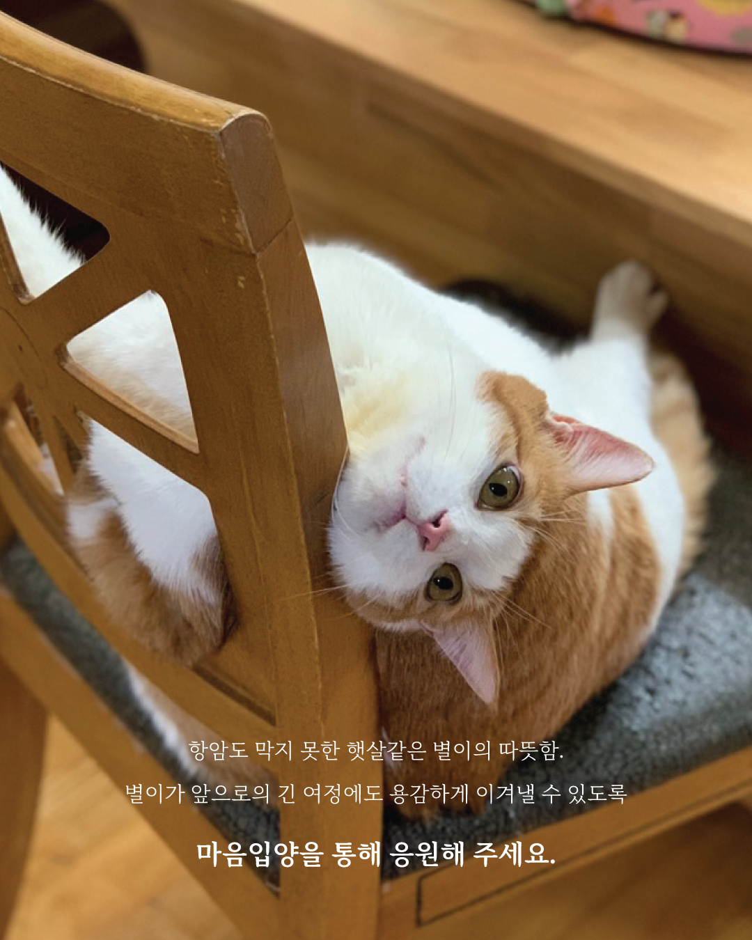 별이7.jpg