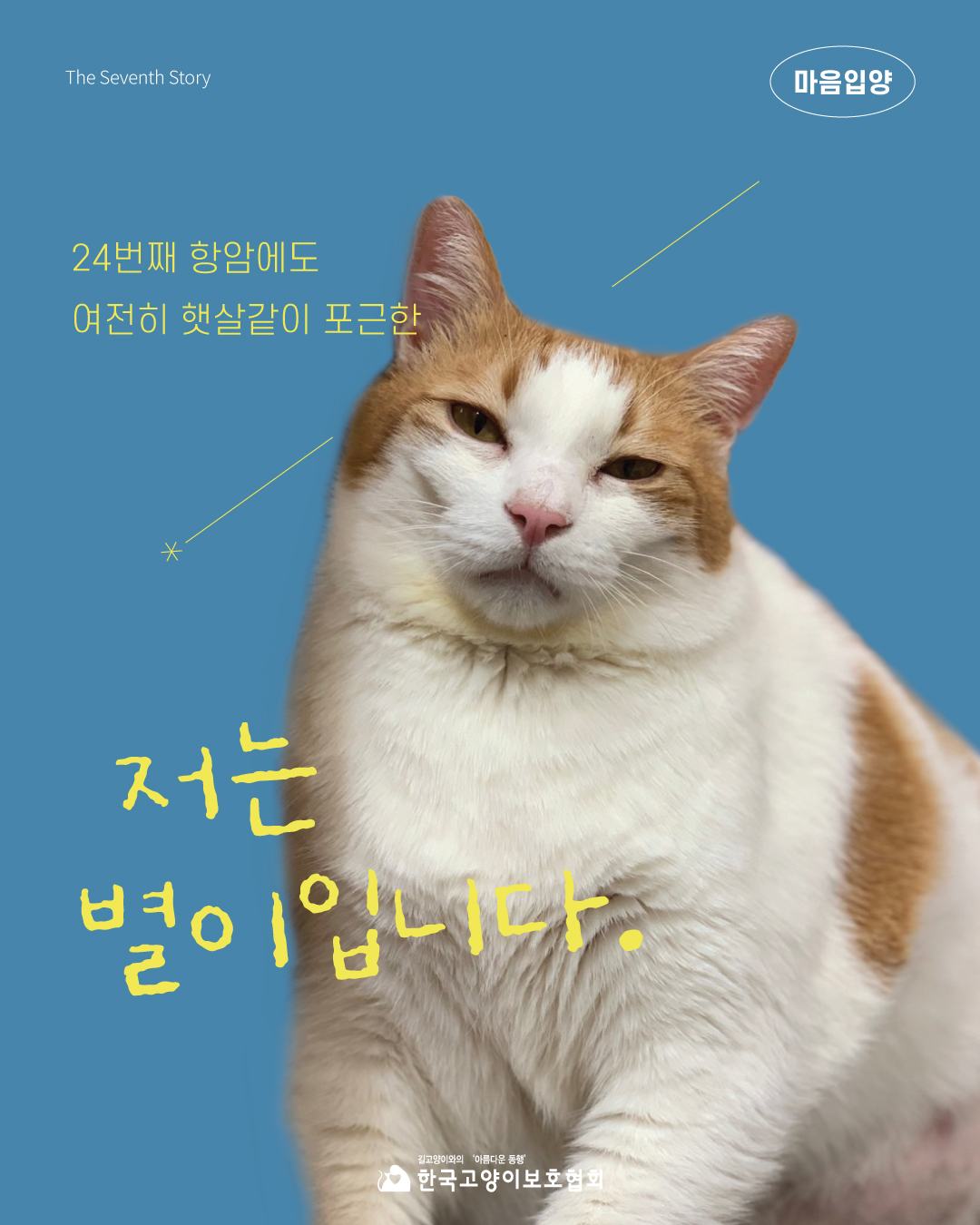 별이1.jpg
