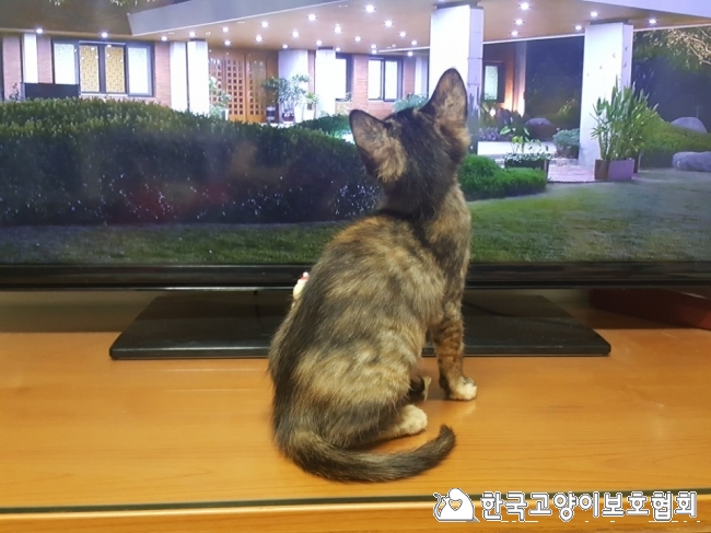 KakaoTalk_20171203_204242415.jpg