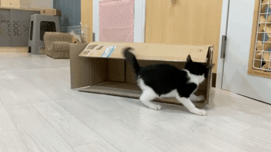 밤이2.gif