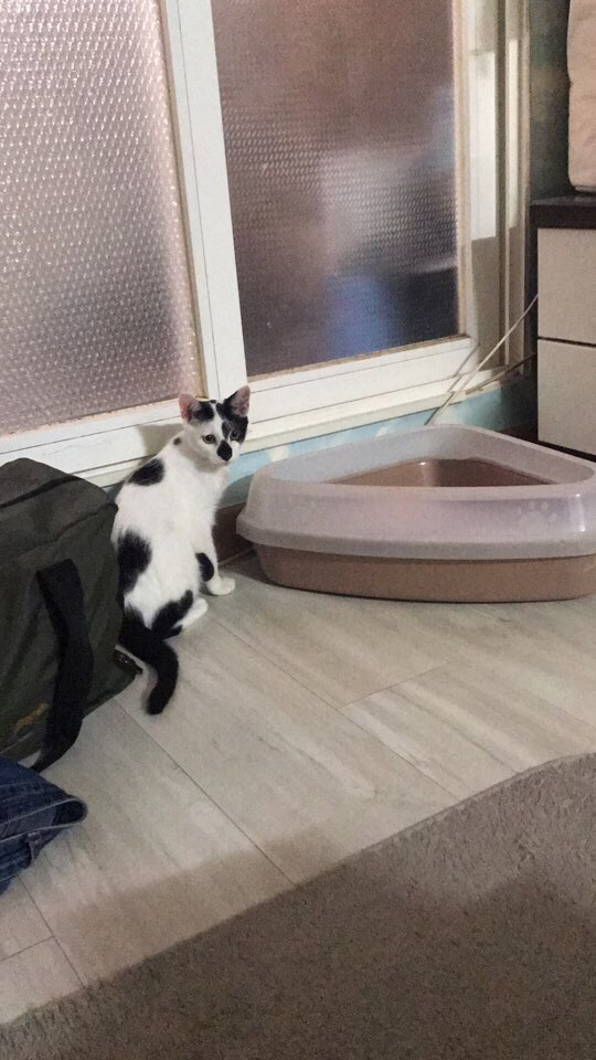 KakaoTalk_20171016_153556025.jpg