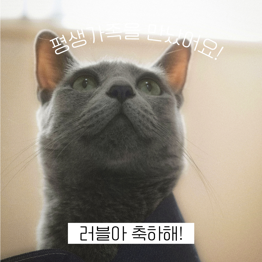러블축하해.jpg