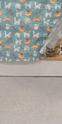 포치 (1).gif