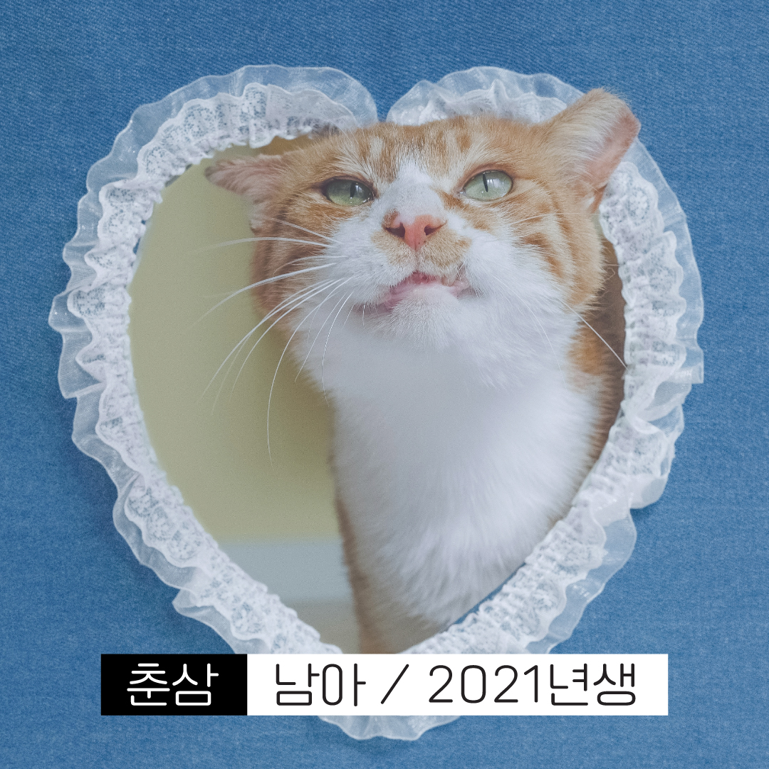 춘삼이.jpg