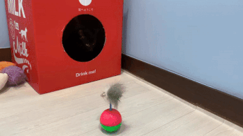 뽀검2.gif