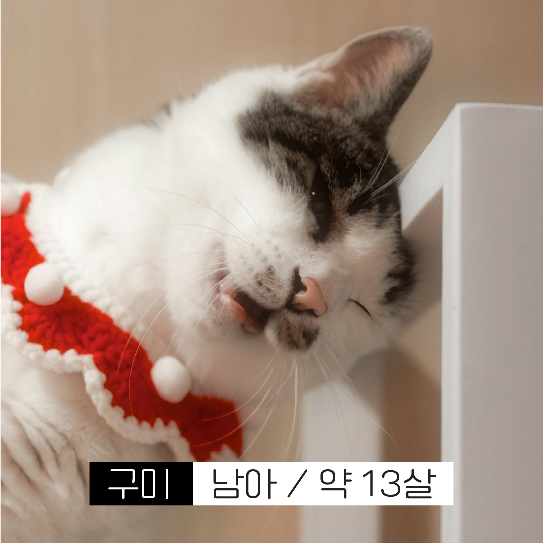 구미.jpg
