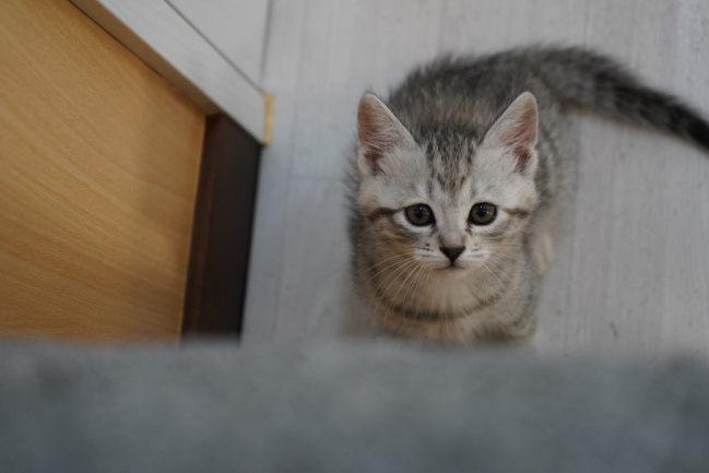 뽀짝 (12).jpg