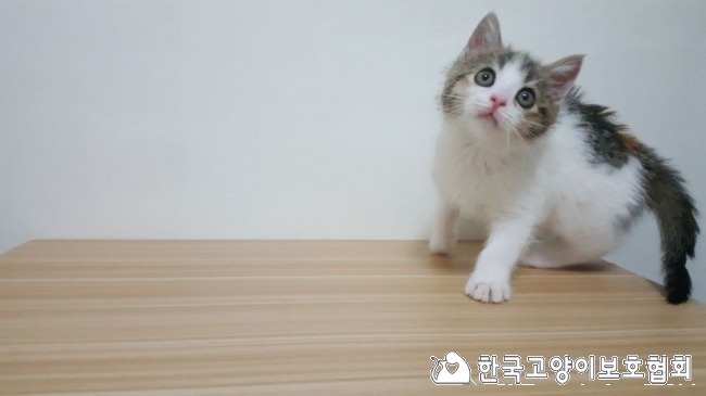 KakaoTalk_20180103_142000209.jpg