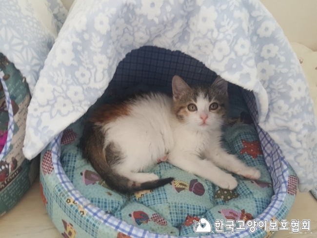 KakaoTalk_20180103_141932230.jpg