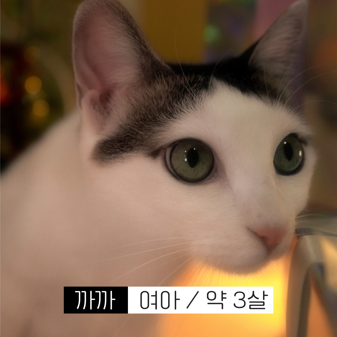 까까.jpg
