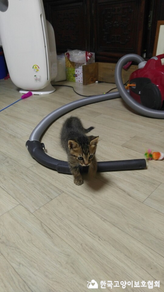 KakaoTalk_20171026_081922268.jpg