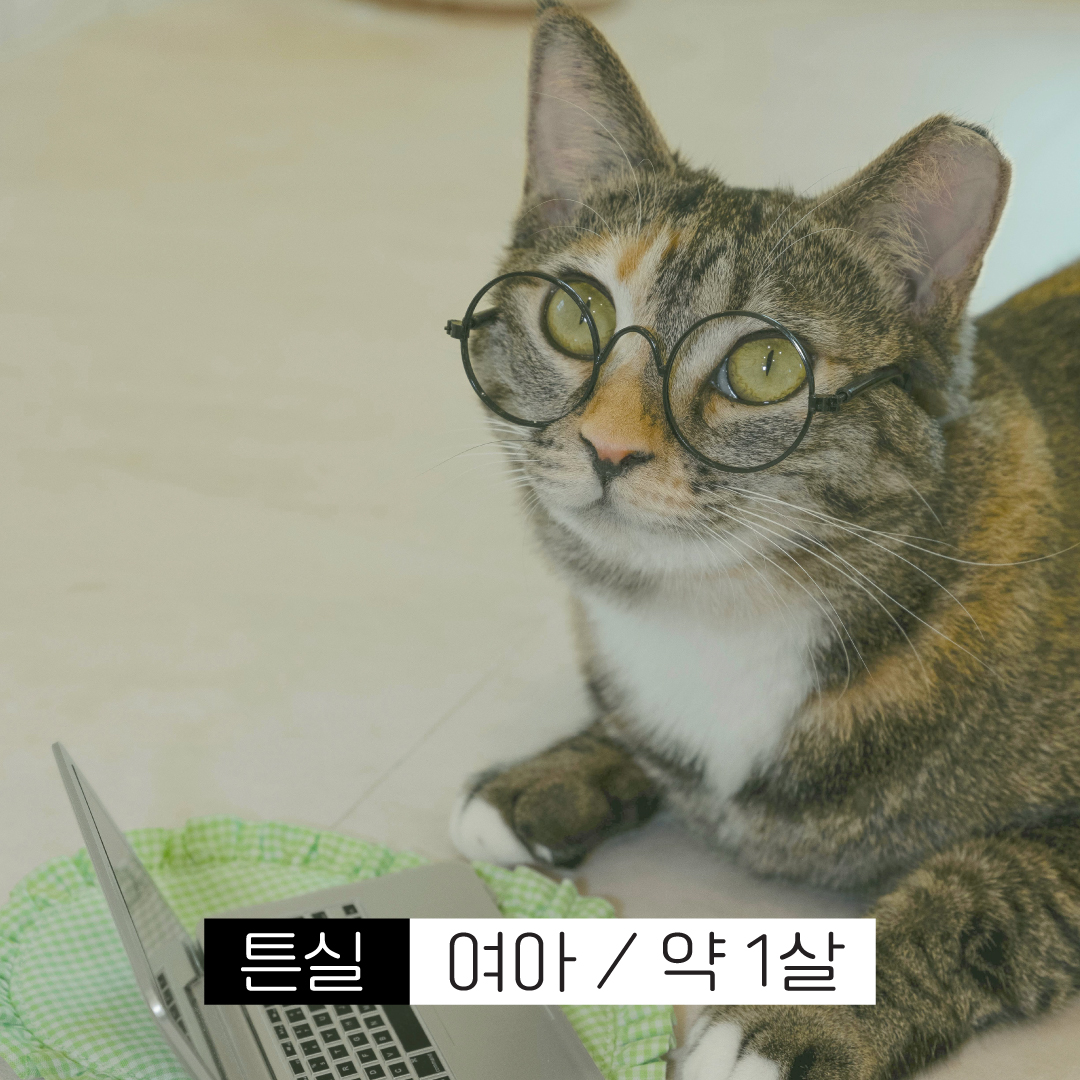 튼실.jpg
