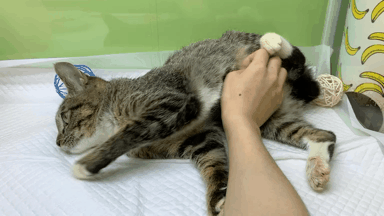 건이.gif