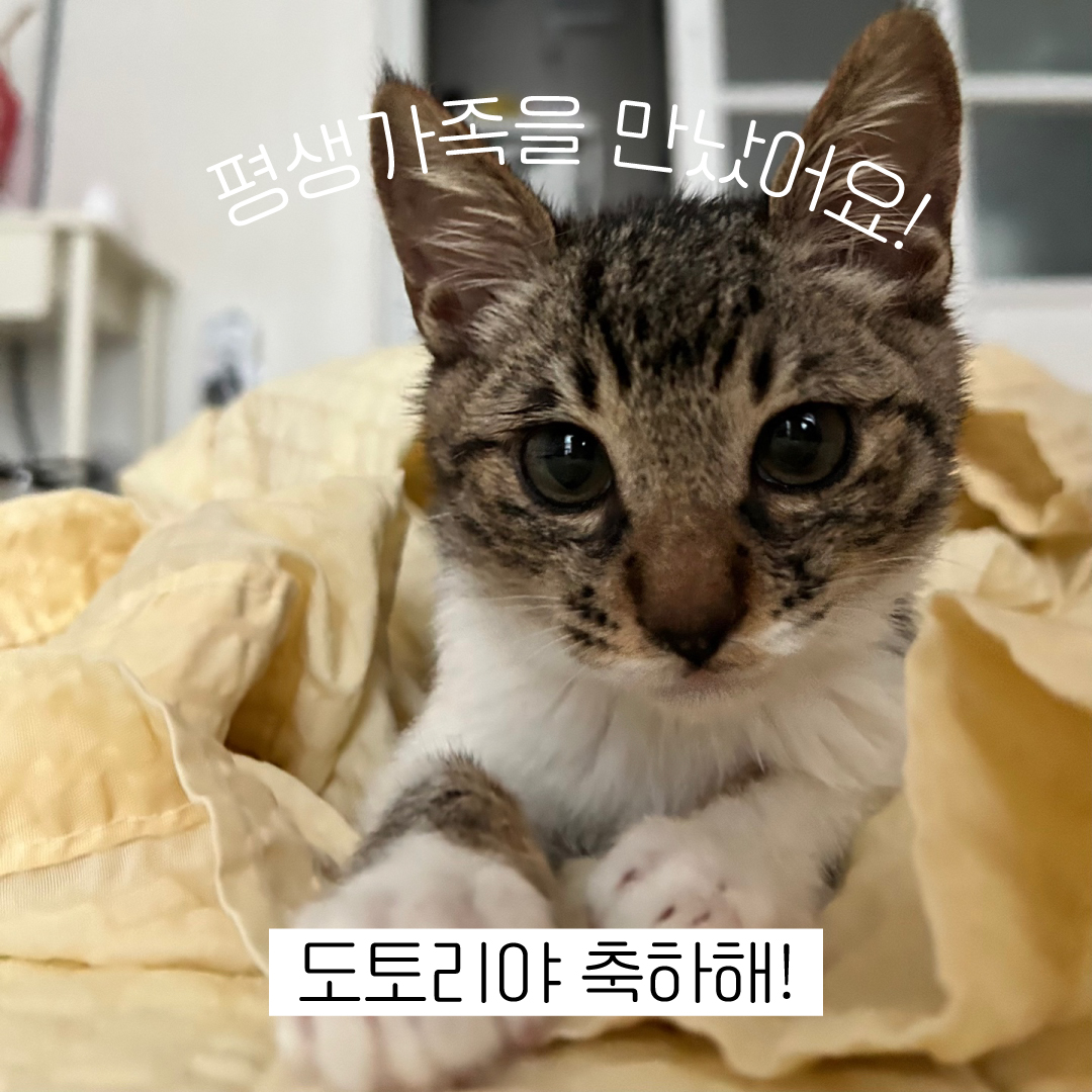 도토리야축하해.jpg