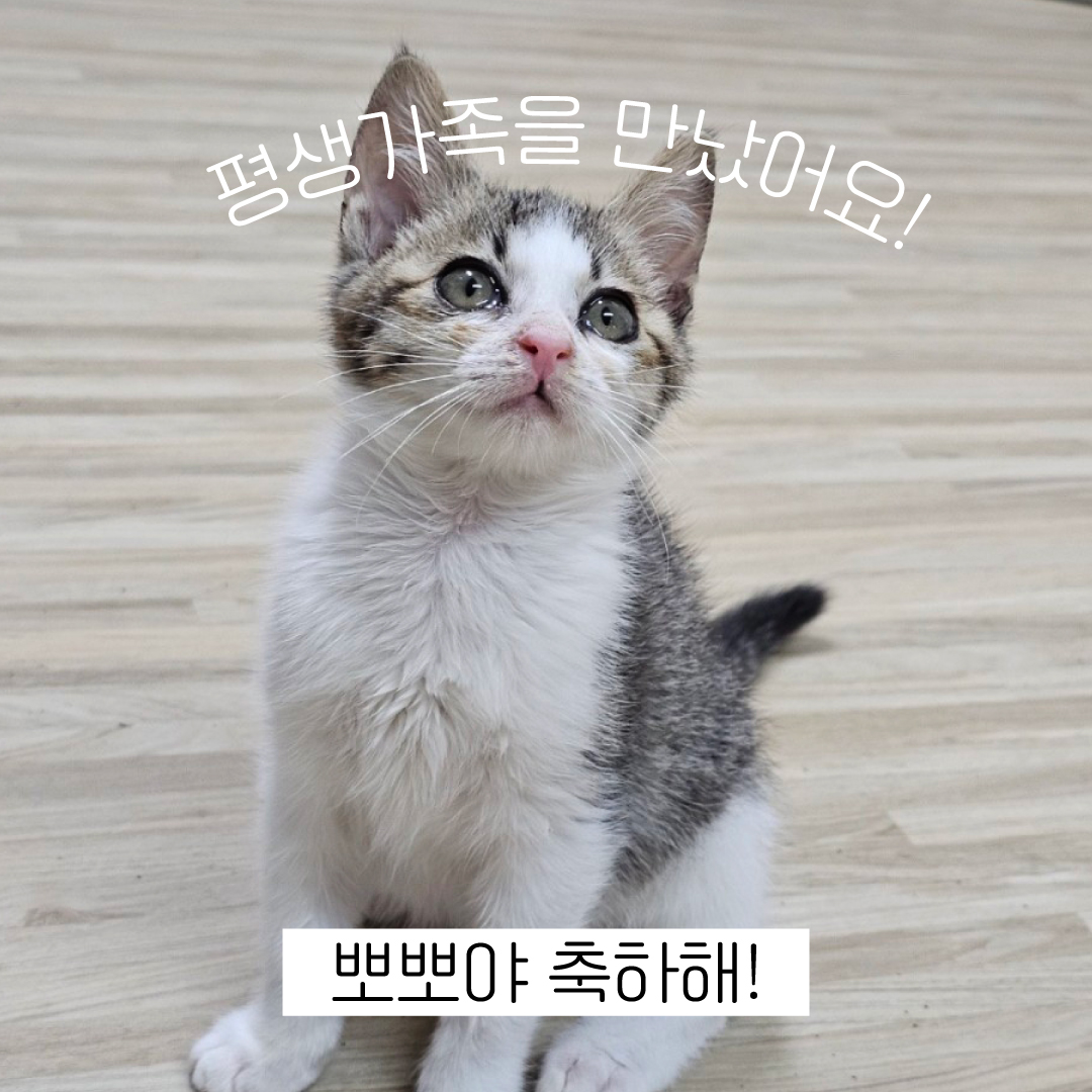 뽀뽀축하해.jpg