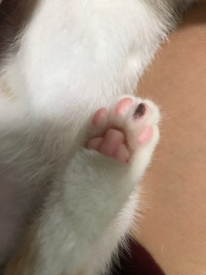 KakaoTalk_20171012_155420631.jpg
