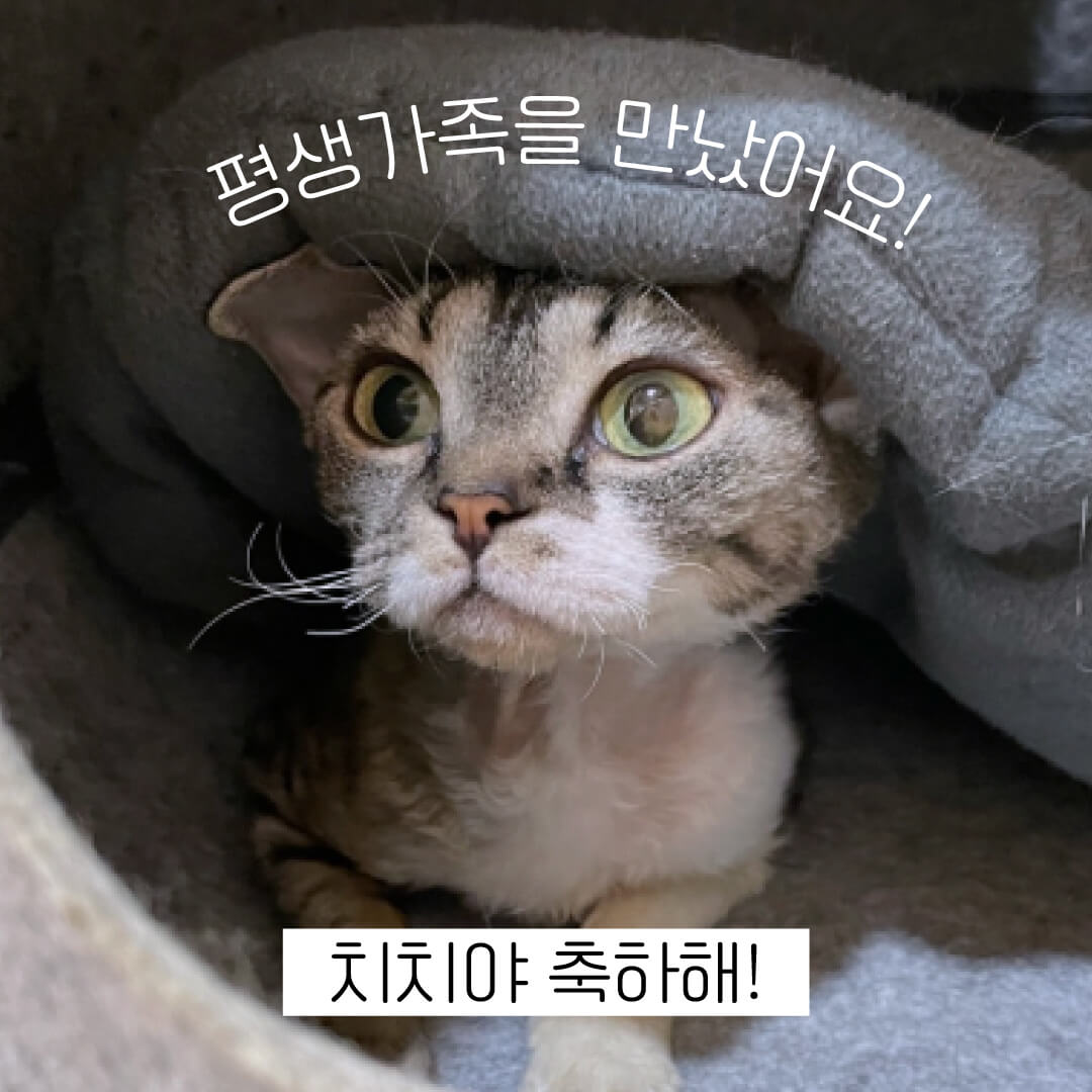 치치.jpg